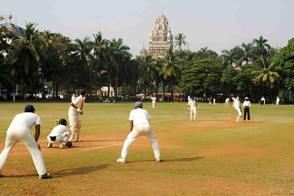 Top Cricket Coaching Classes in Thrissur